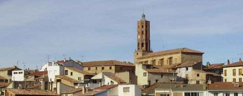 LA MATA DE LOS OLMOS: UN PASEO POR NUESTRO PATRIMONIO.