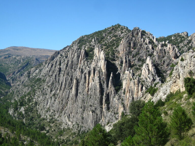 MARZO. PASARELAS DE VALLORÉ Y BOSQUE DE HADAS EN MONTORO DE MEZQUITA